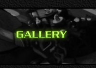 gallery_racing